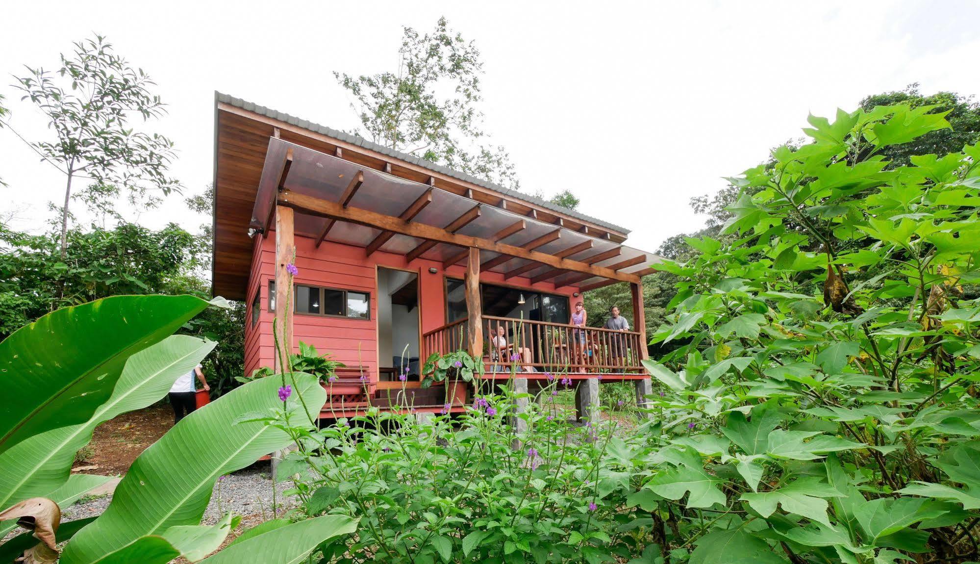 Casitas Tenorio B&B And Farm Бихагуа Экстерьер фото